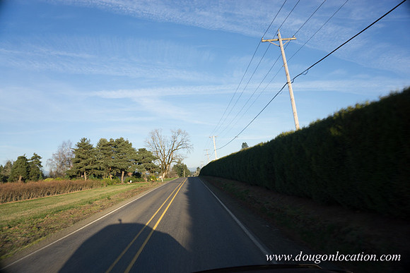 Kelso Rd W Driving E-4016