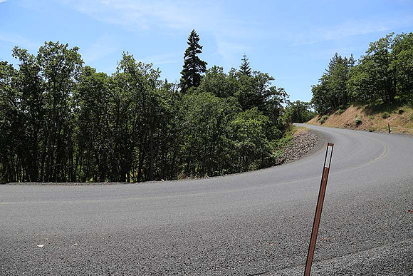Canyon Rd 2-8000