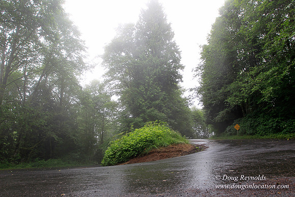 Brower Rd