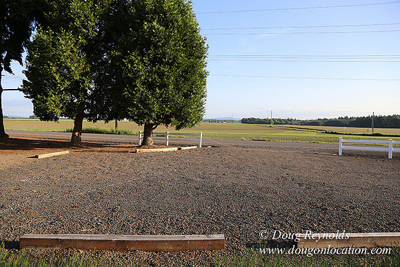 Toms Rd Side-6369
