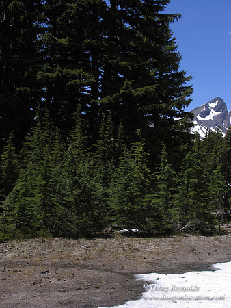 FSR 370