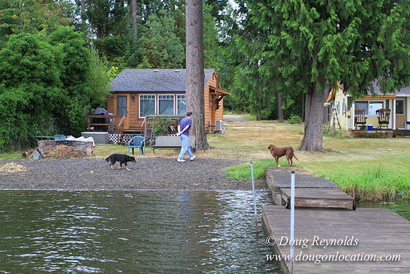 Cabin, Curtis, Dock, Green, Home, Lake, Small, WA, Washington, Yard, Yard, deck