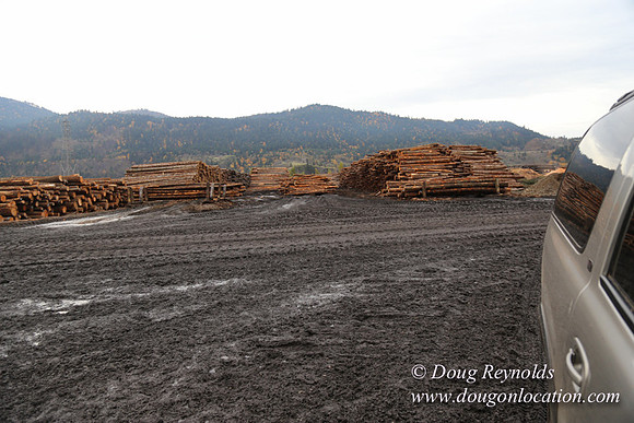 SDS Lumber-1455