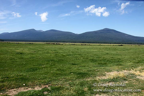 2500 Acres of green fields Creeks water crossing Bridges on a Large Lake and miles of Dirt roads Oak trees Forest land ATV Trails cows