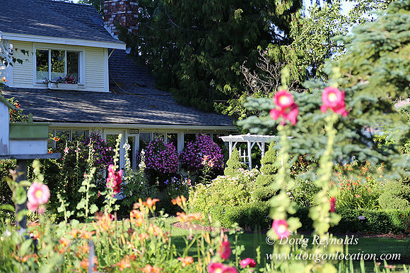 Patricks Farm Well maintained property, Lots of flowers Old Barn Farm House fruit trees Berries, Goats, Chicken’s, Turkey,