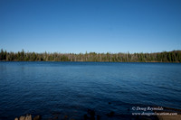 Mt Washington & Lake