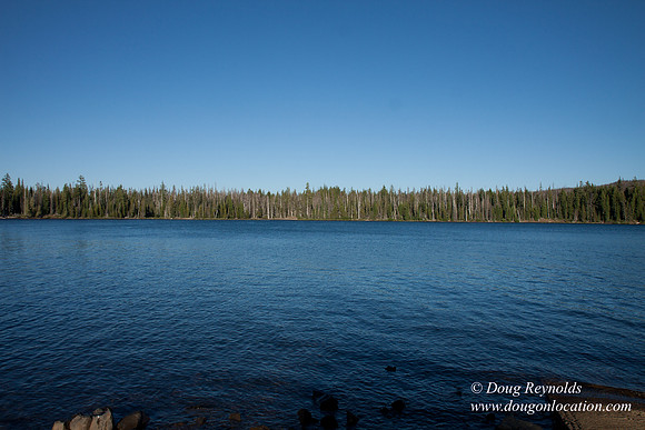 Mt Washington & Lake