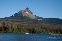 Mt Washington & Lake