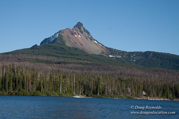 Mt Washington & Lake