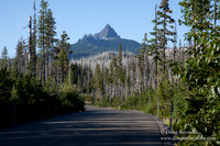 Mt Washington & Lake