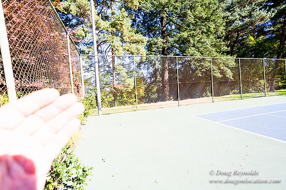 Washington Park Tennis Courts