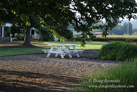 Toms Rd Side-6386