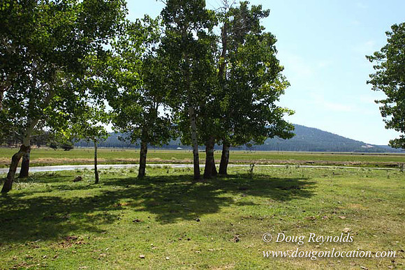 2500 Acres of green fields Creeks water crossing Bridges on a Large Lake and miles of Dirt roads Oak trees Forest land ATV Trails cows