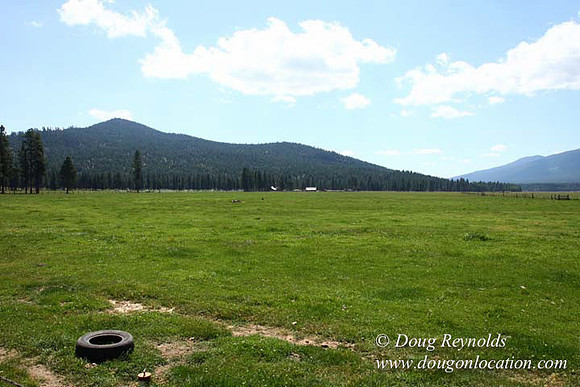 2500 Acres of green fields Creeks water crossing Bridges on a Large Lake and miles of Dirt roads Oak trees Forest land ATV Trails cows