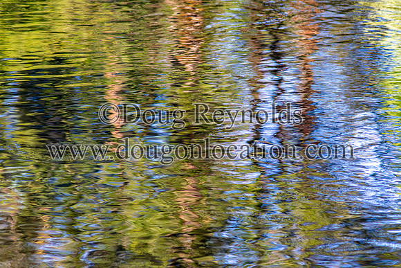 Reflecting water
