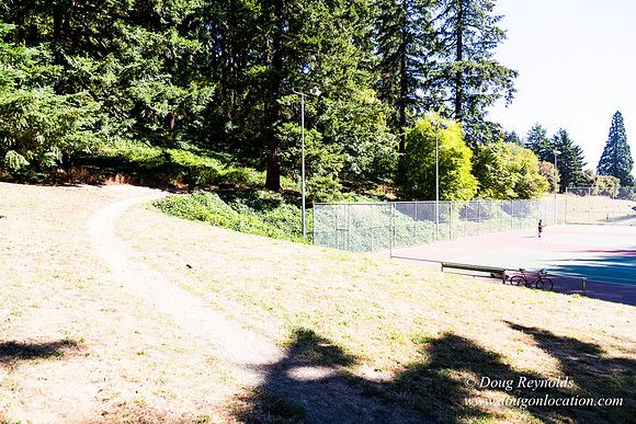 Tabor T Courts West