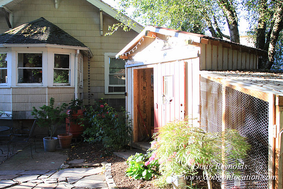 Home" Bungalow, Bee's Back yard Chickens, Small,