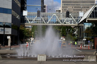 Salmon St Ftn-2709