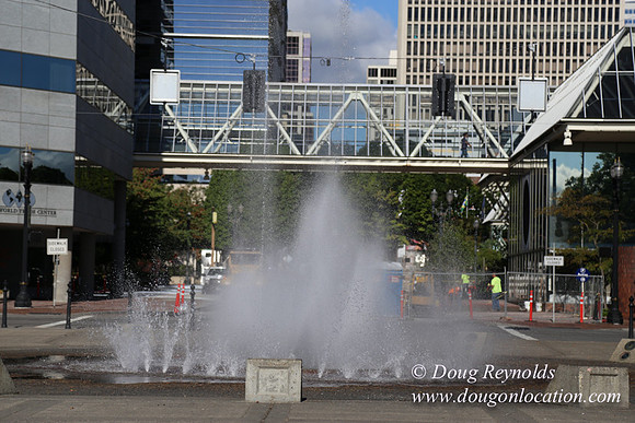 Salmon St Ftn-2709