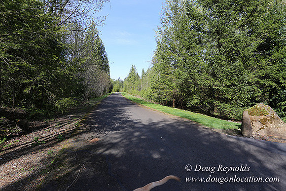 Brians Pond & Drive-9915