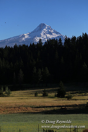 Elk Haven Ranch-8588