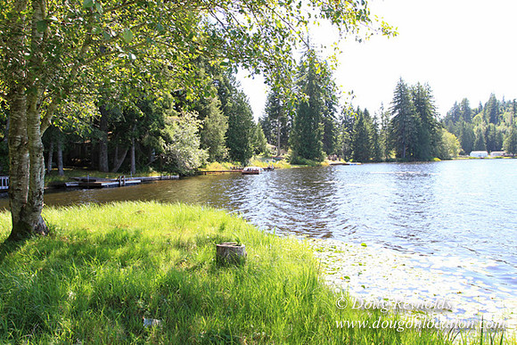 Richter Lake House-8426