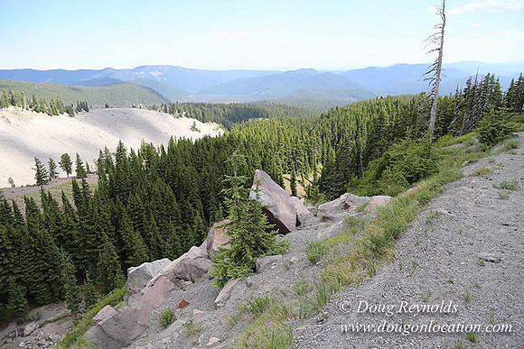 Timberline East rock-6768