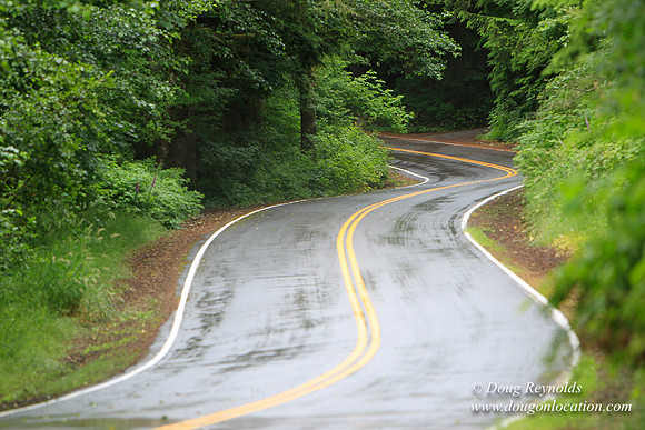 Brower Rd