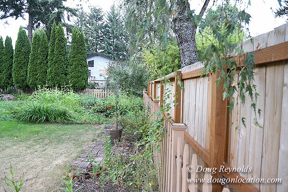 Jeramiah's Backyard-1671