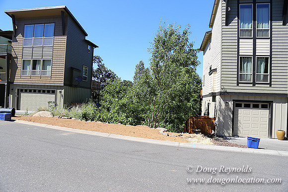 Silkirk Town Homes-8131
