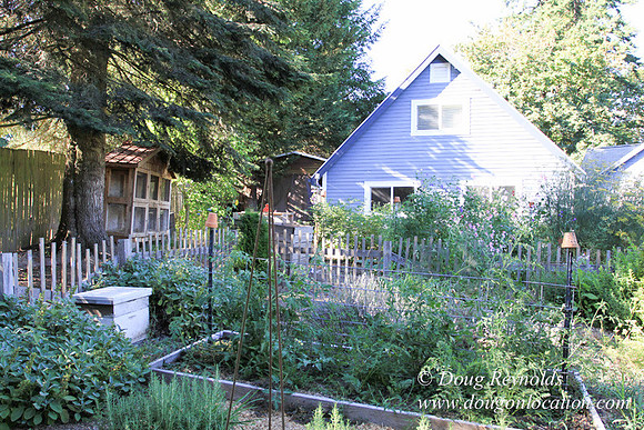 Traditional Style Home small farm with large kitchen great room, 2 story, 2 car garage on Acreage with large back yard, large front yard, garden, pond, deck, goats, bees, shop, PDX Zone