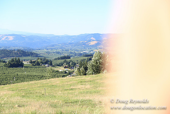 Both Hill Rd-8617
