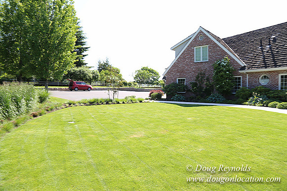 Charlie's  House-5645
