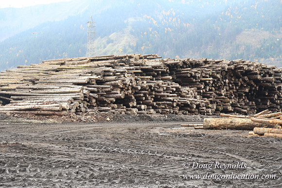 SDS Lumber-1412