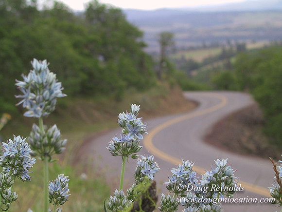 WA Canyon Rd- 7413