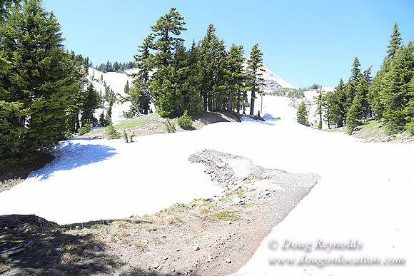 Medow's Snow-5665