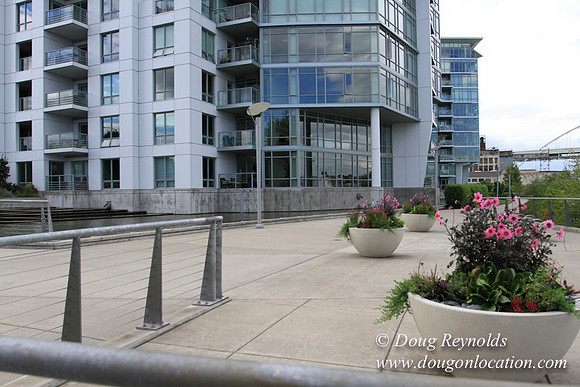 NW Waterfront-2914