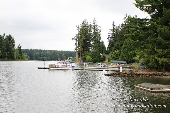 Cabin, Curtis, Dock, Green, Home, Lake, Small, WA, Washington, Yard, Yard, deck