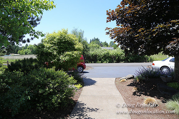 Scotts House-5314