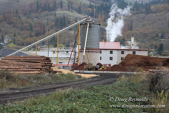 SDS Lumber-1440