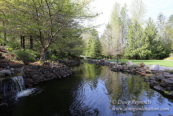 Brians Pond & Drive-9932