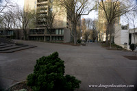 Lovejoy Fountain-3307