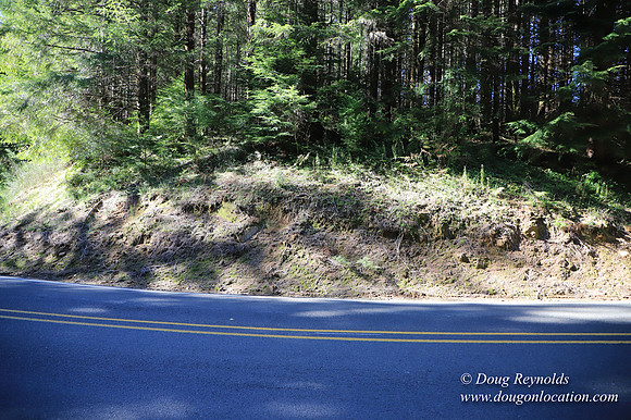 Hwy 53