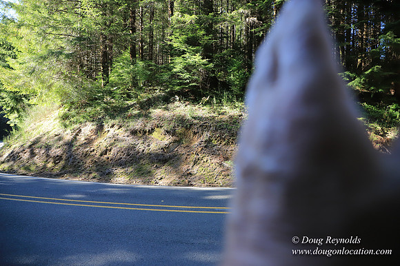 Hwy 53