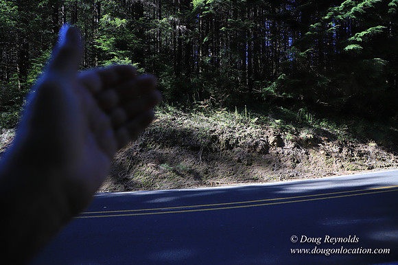 Hwy 53