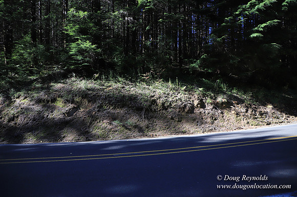 Hwy 53