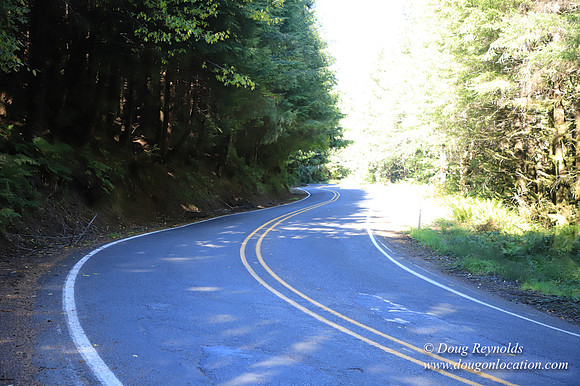 Hwy 53