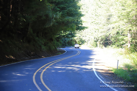 Hwy 53