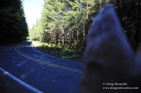 Hwy 53