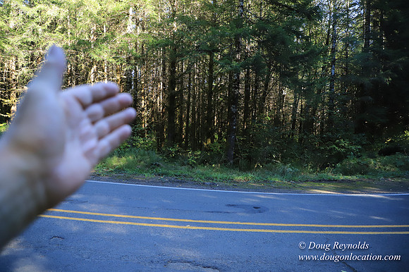 Hwy 53